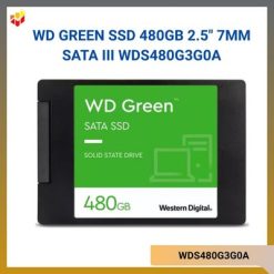 WDS480G3G0A