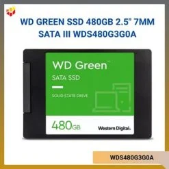 WDS480G3G0A