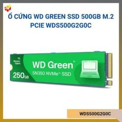 WDS500G2G0C