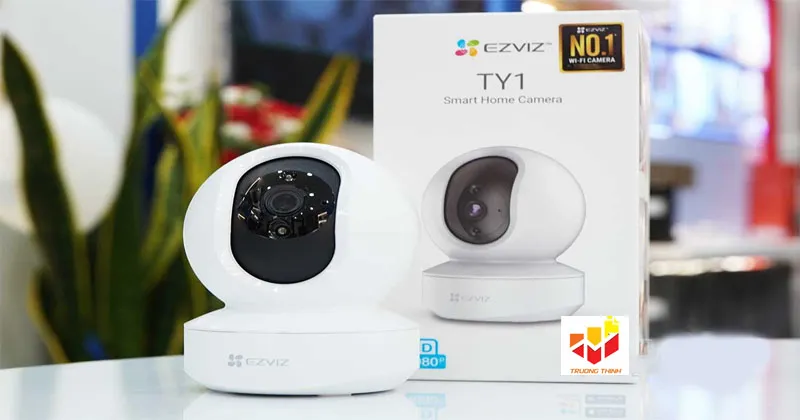 Ai nên chọn TY1?