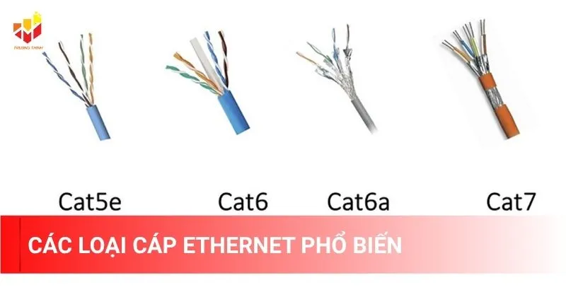 Các loại cáp Ethernet phổ biến