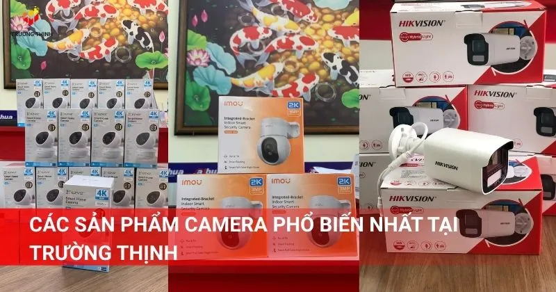 Các sản phẩm camera phổ biến nhất tại Trường Thịnh