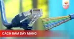 Hướng dẫn cách bấm dây mạng và một số lưu ý khi bấm - Trường Thịnh Telecom