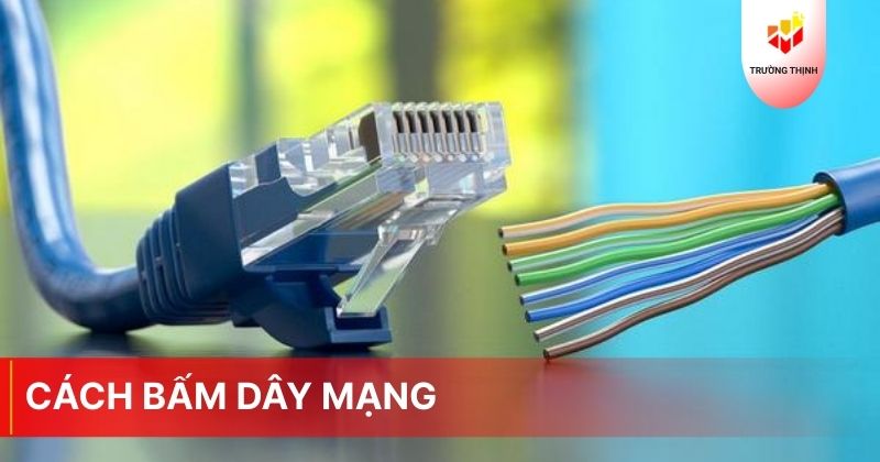 Hướng dẫn cách bấm dây mạng và một số lưu ý khi bấm - Trường Thịnh Telecom