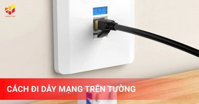 Cách đi dây mạng trên tường trong nhà chung cư