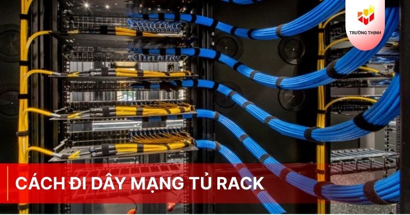 Cách đi dây mạng tủ rack, đấu Patch Panel chuẩn kỹ thuật