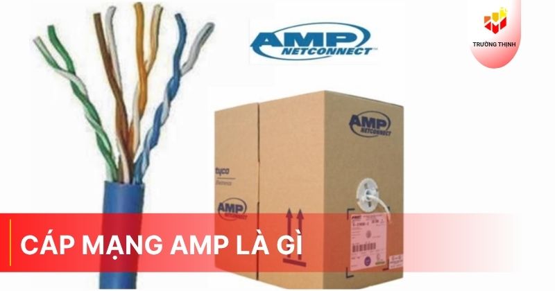 Cáp mạng AMP là gì