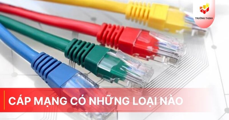 Cáp mạng có những loại nào
