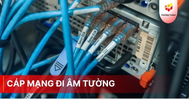 Cáp mạng đi âm tường