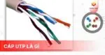 Cáp UTP là gì? Ứng dụng thực tế của cáp UTP