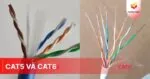 Dây mạng Cat5 và Cat6