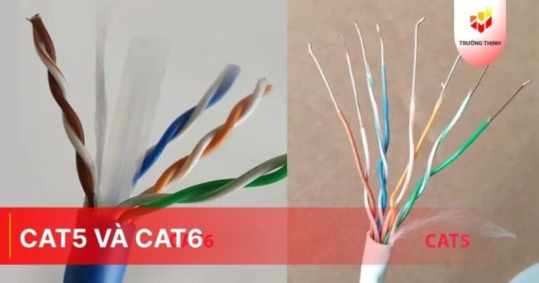 Dây mạng Cat5 và Cat6