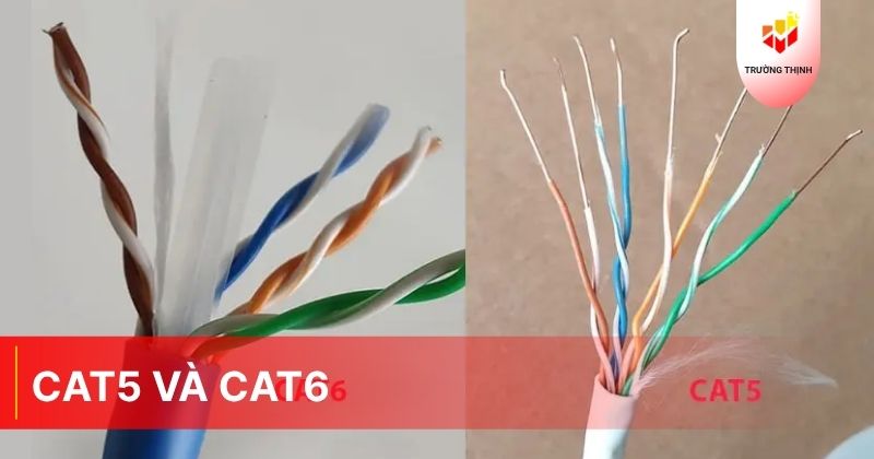 Dây mạng Cat5 và Cat6
