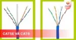 Cat5e và Cat6