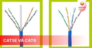 Cat5e và Cat6