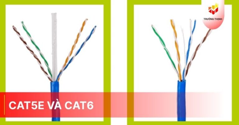 Cat5e và Cat6