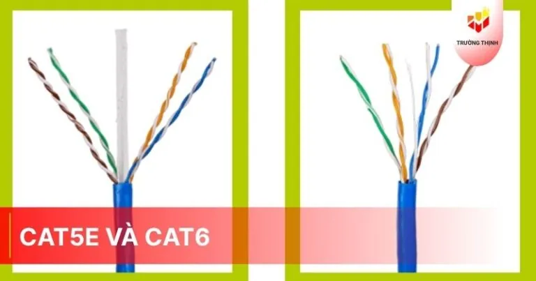 Cat5e và Cat6