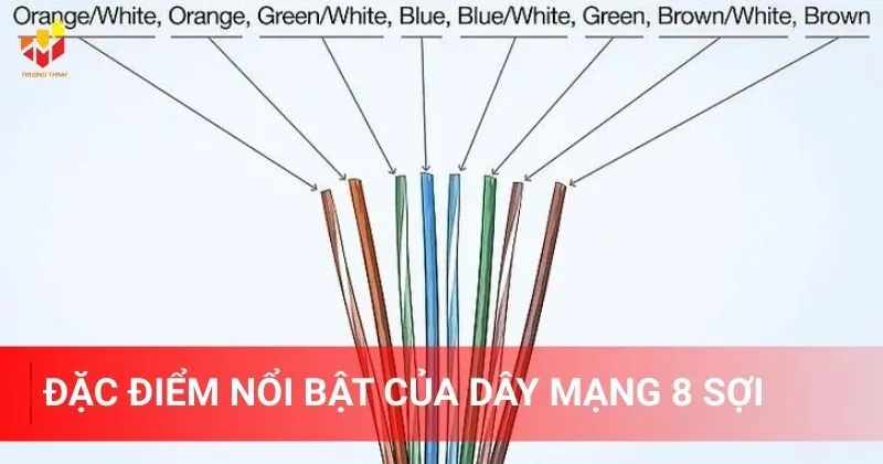 Đặc điểm nổi bật của dây mạng 8 sợi