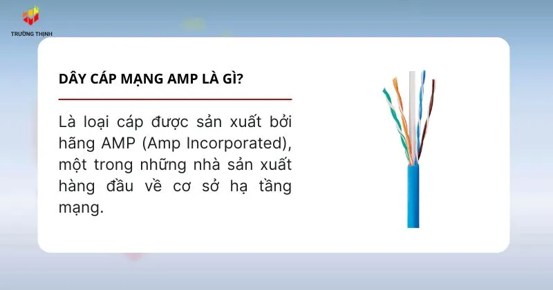 Dây cáp mạng AMP là gì?