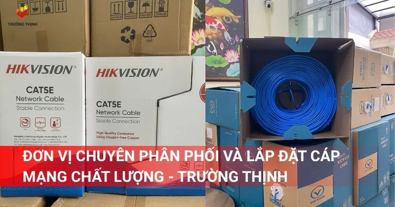 Đơn vị chuyên phân phối và lắp đặt cáp mạng chất lượng - Trường Thịnh
