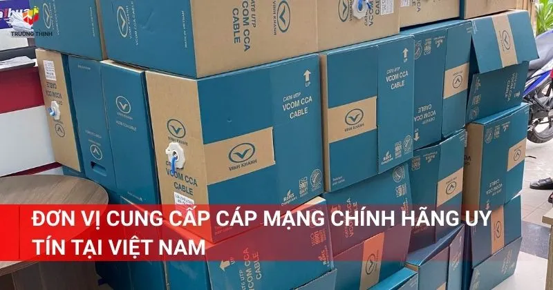Đơn vị cung cấp cáp mạng chính hãng uy tín tại Việt Nam - Trường Thịnh Telecom