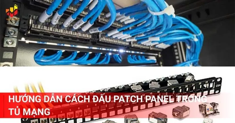 Hướng dẫn cách đấu Patch Panel trong tủ mạng nhanh nhất