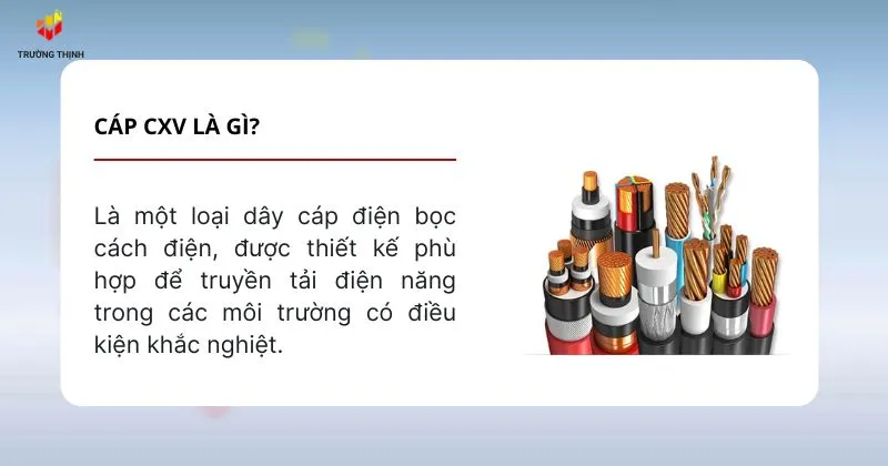 Cáp CXV là gì?