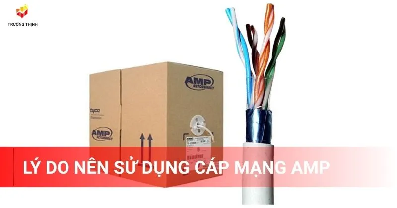 Lý do nên sử dụng cáp mạng AMP