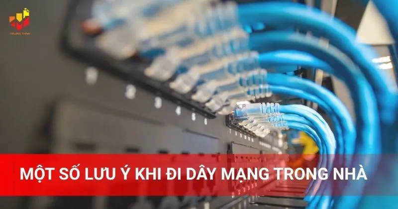Một số lưu ý khi đi dây mạng trong nhà