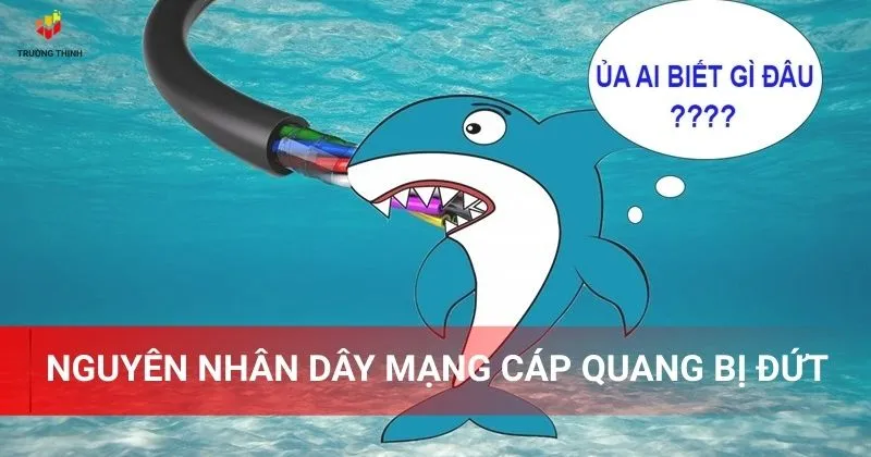Nguyên nhân dây mạng cáp quang bị đứt
