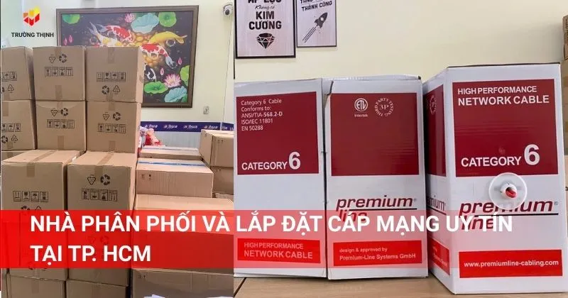 Nhà phân phối và lắp đặt cáp mạng uy tín tại TP. HCM - Trường Thịnh Telecom
