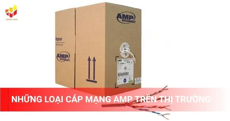 Những loại cáp mạng AMP trên thị trường
