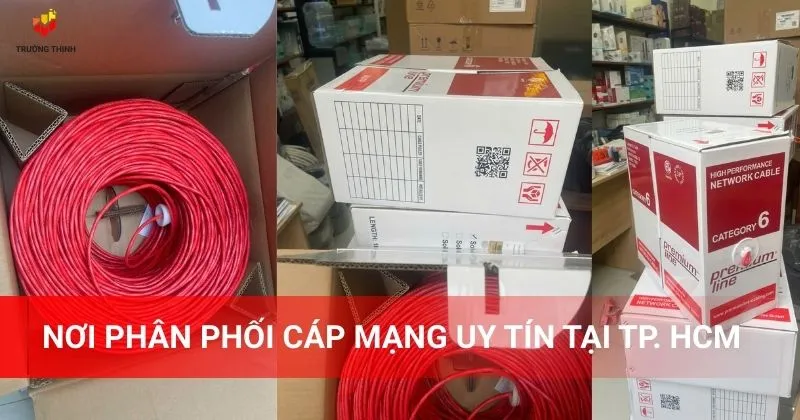 Nơi phân phối cáp mạng uy tín tại TP. HCM