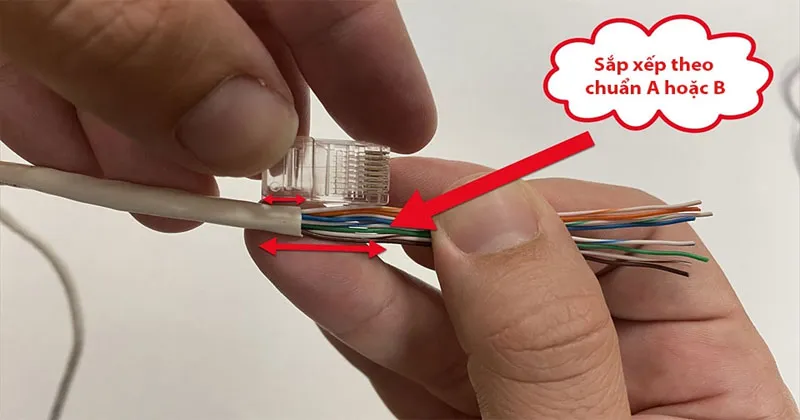 Sắp xếp các sợi dây thro chuẩn T568A hoặc chuẩn T568B