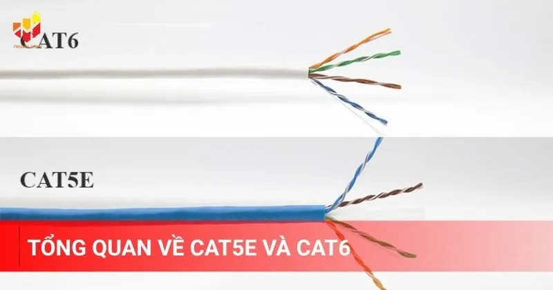 Tổng quan về Cat5e và Cat6