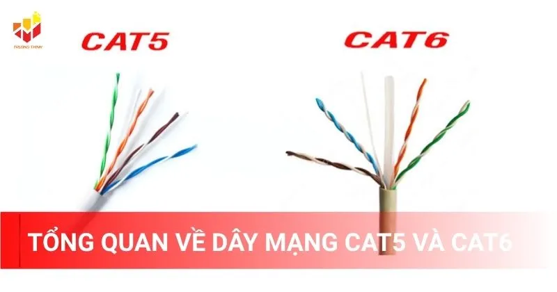 Tổng quan về dây mạng Cat5 và Cat6