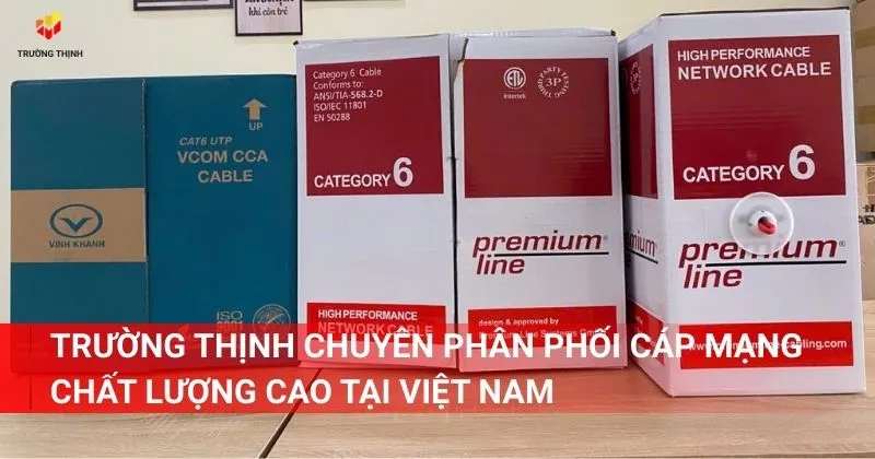 Trường Thịnh chuyên phân phối cáp mạng chất lượng cao tại Việt Nam