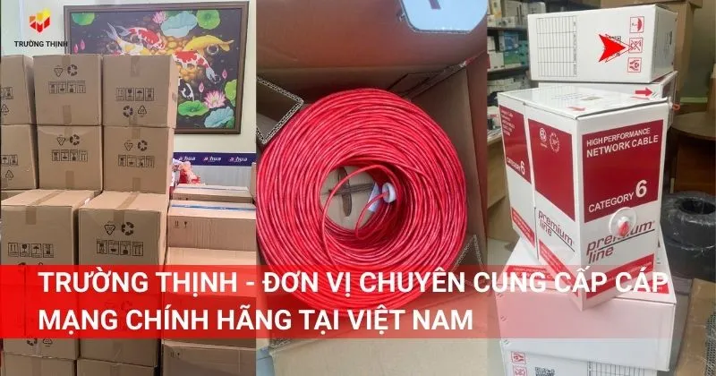 Trường Thịnh - Đơn vị chuyên cung cấp cáp mạng chính hãng Tại Việt Nam