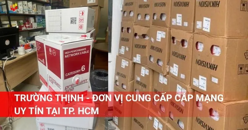 Trường Thịnh - Đơn vị cung cấp cáp mạng uy tín tại TP. HCM