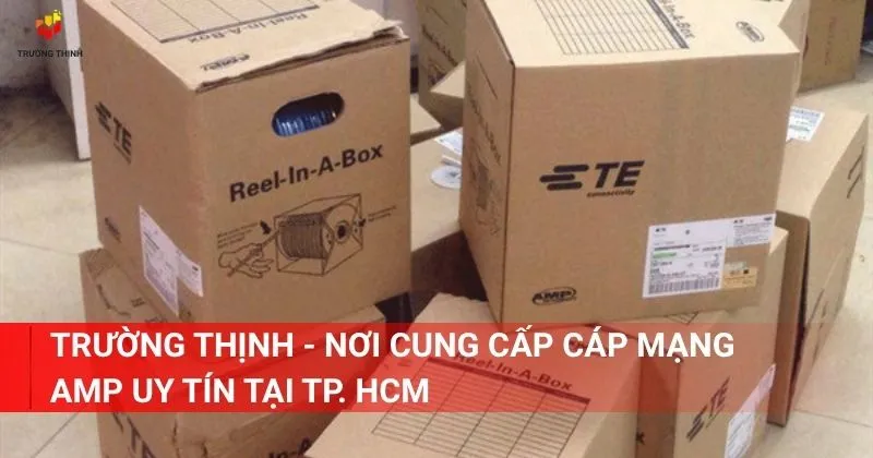 Trường Thịnh - Nơi cung cấp cáp mạng AMP uy tín tại TP. HCM