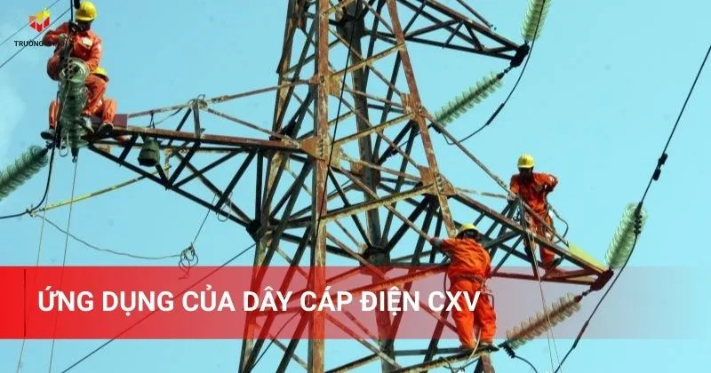 Ứng dụng của dây cáp điện CXV là gì nhỉ?