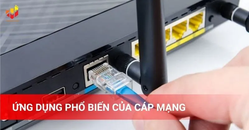 Ứng dụng phổ biến của cáp mạng