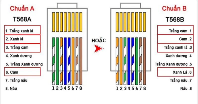 Sắp xếp lõi dây theo thứ tự chuẩn