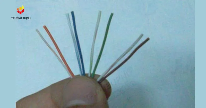 Sắp xếp các lõi dây theo thứ tự màu chuẩn muốn bấm