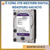 WD42PURU-64C4CY0