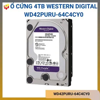 Ổ cứng 4TB Surveillance Western Digital WD42PURU-64C4CY0