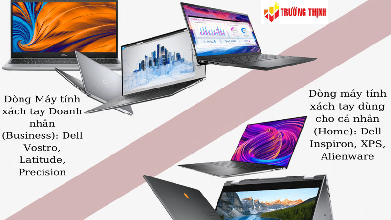 Các dòng laptop Dell phổ biến tại Trường Thịnh