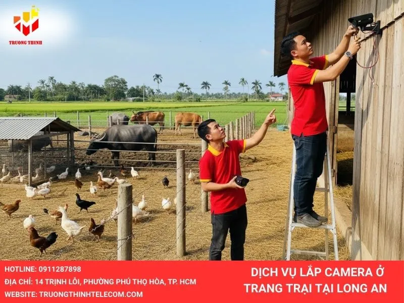 Lắp đặt camera ở trang trại tại Long An