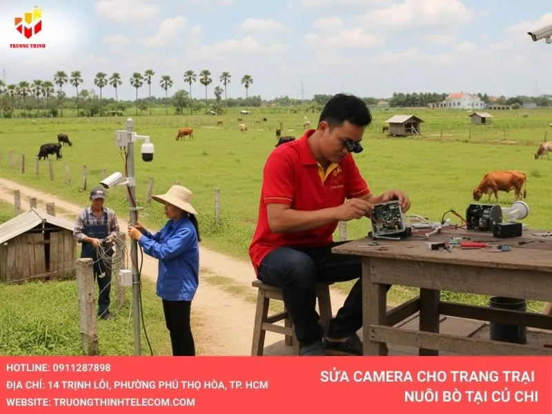 Sửa camera cho trang trại nuôi bò tại Củ Chi