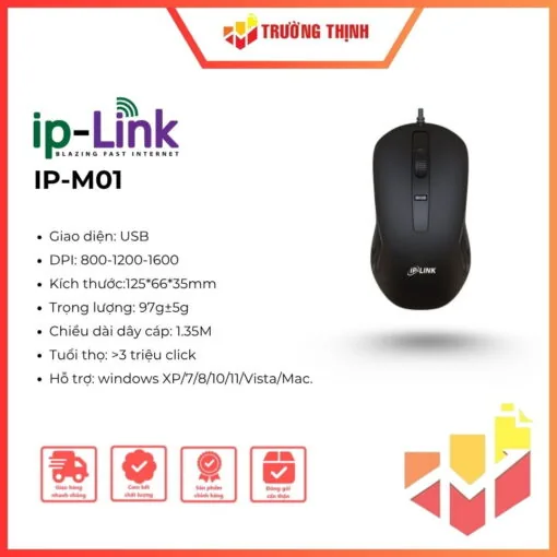 IP-M01